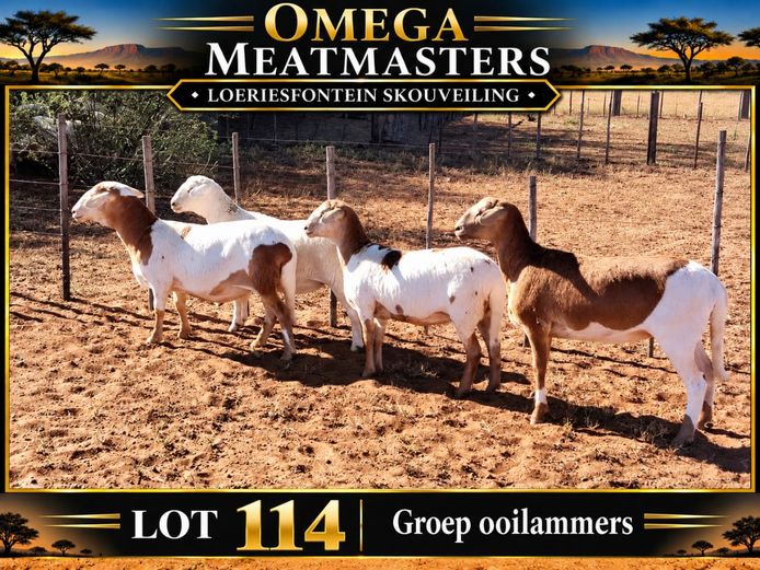 Omega Meatmasters