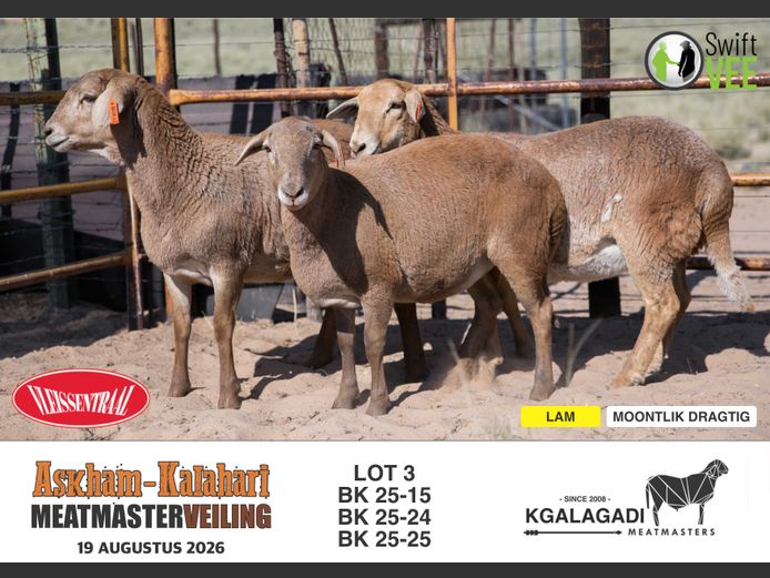 BK 25-25 | BARRI KNOETZE