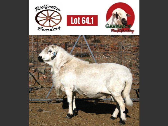 TB20-200 | Rietfontein Boerdery