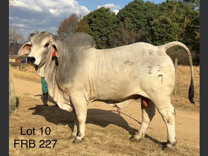 FRB227 | FALCON RIDGE FARM