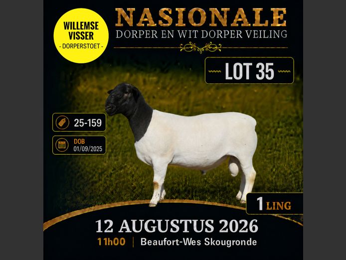 25 159 | W VISSER
