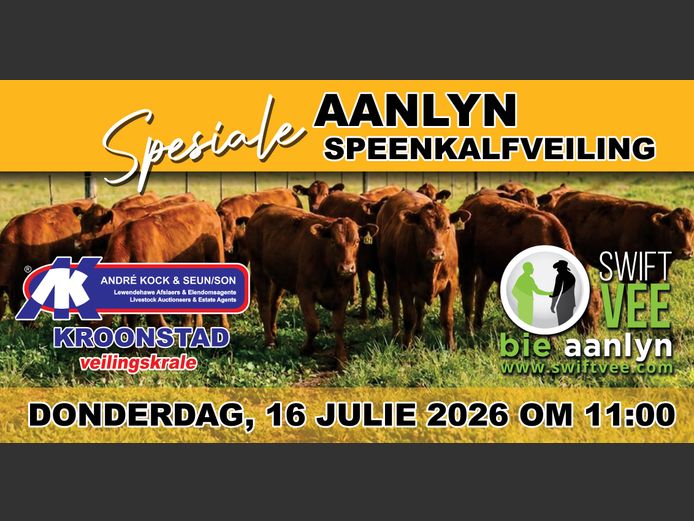 AANLYN SPEENKALFVEILING   ANDRE KOCK & SEUN VRYSTAAT