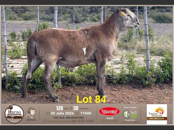 B25.127 | Jacques Strydom - Karoo Shalom Meatmasters