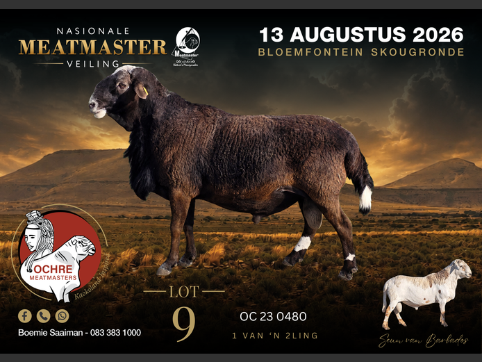 OC 23 0480 | Ochre Meatmasters