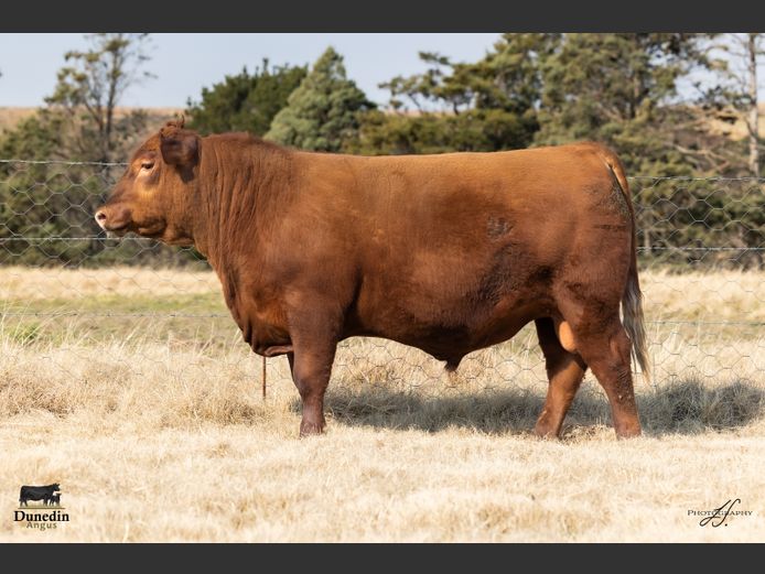 KCM 230122 | TABLE HILL FARMING PTY LTD