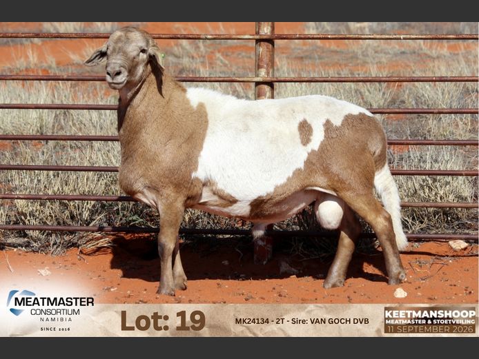 MK24134 | Meatmaster Consortium