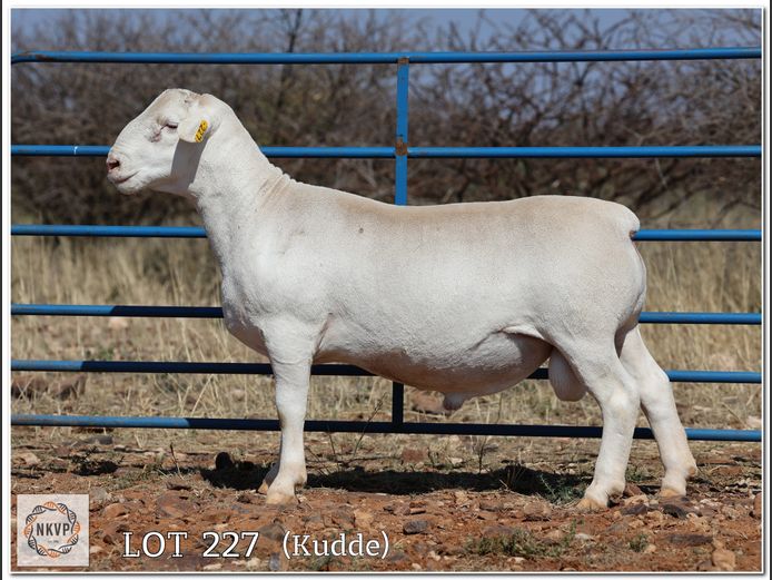 2280 24 0169W | MNR. LOUIS J. VAN RENSBURG