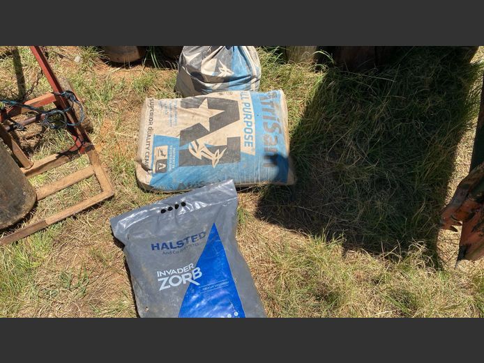 Cement and absorbent