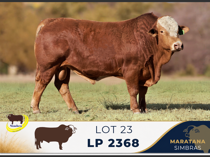 LP2368 | MARATANA BOERDERY (PTY) LTD