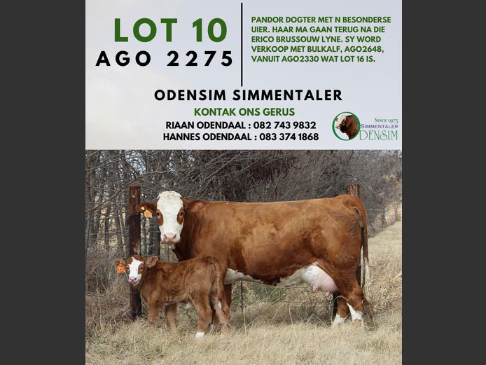 AGO2275 | AG ODENDAAL