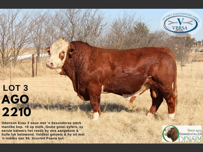 AGO2210 | AG ODENDAAL