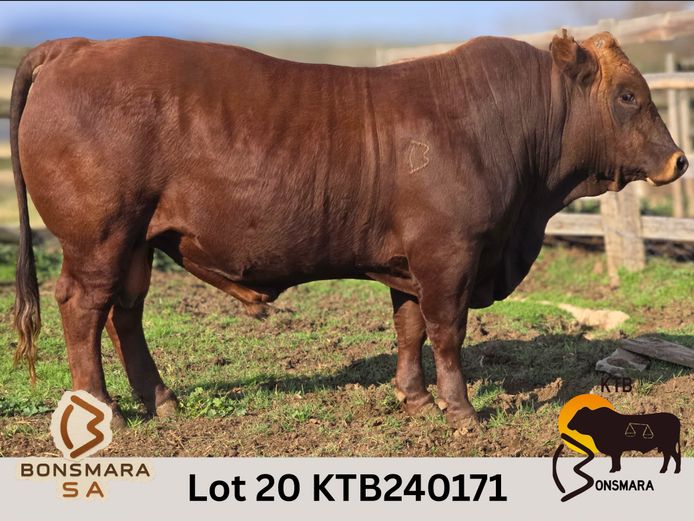 KTB240171 | BOTTERFONTEIN ESTATES CC