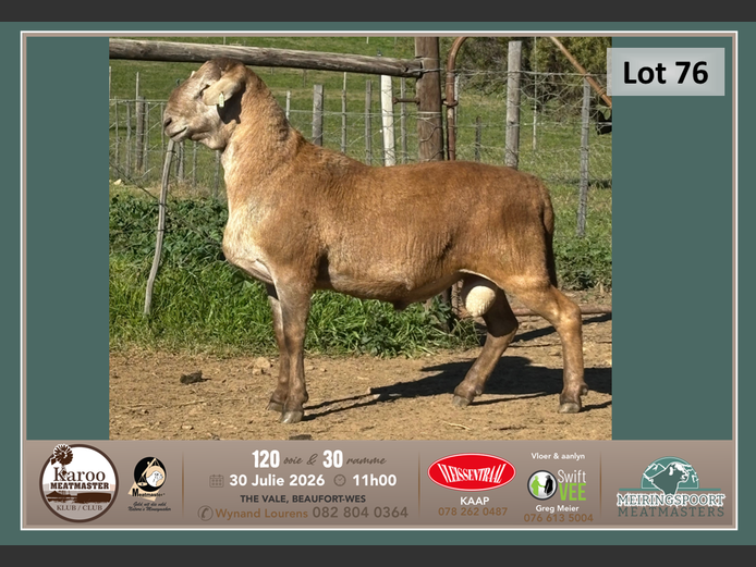 LG 073 | Tiaan Lourens - Meiringspoort Meatmasters