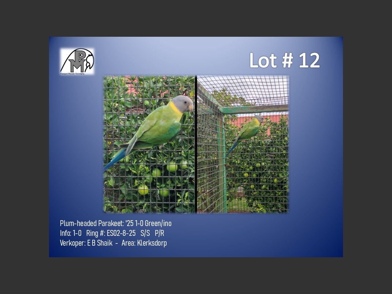 images