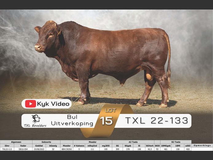 TXL22-113