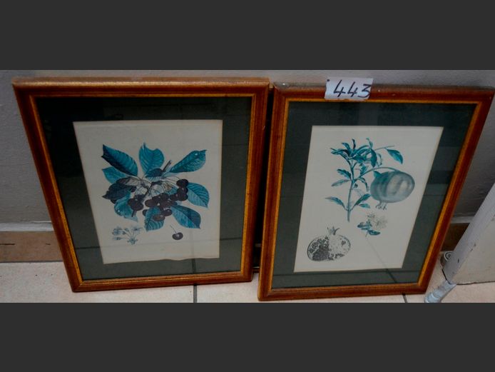 PAIR GILT FRAMED BOTANICAL PRINTS, 32 x 22cm & 36.5 x 29cm [Glass cracked]