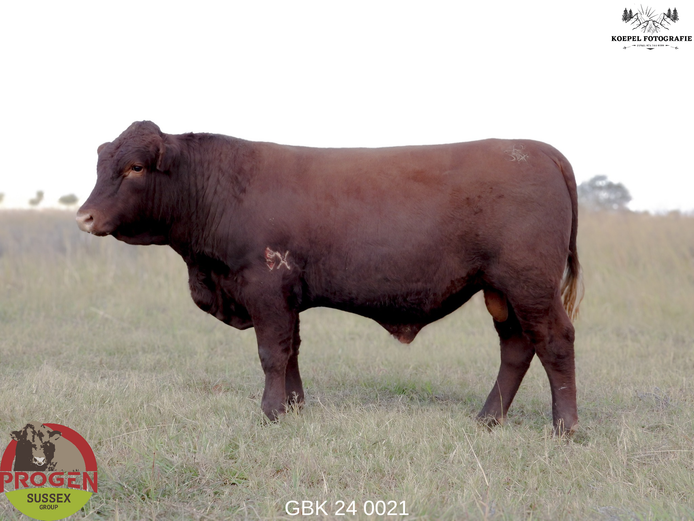 GBK 240021 | G.B. KEYSER