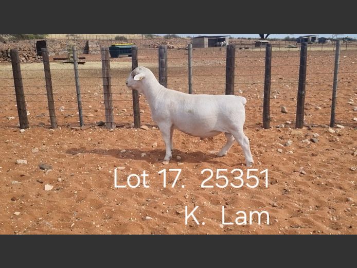 916250351W | R.J. CAHI & SON CC