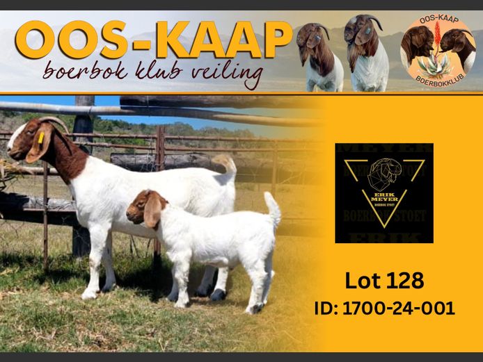 24-001 | Erik Meyer Boerbokke