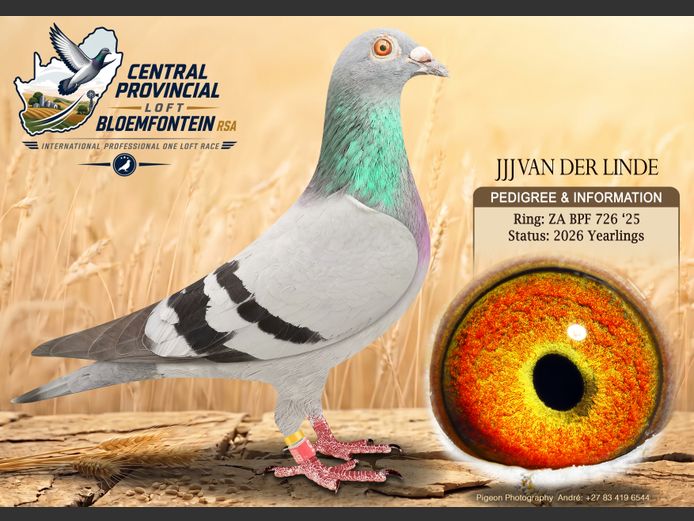 BPF 726 2025 | JJJ VAN DER LINDE