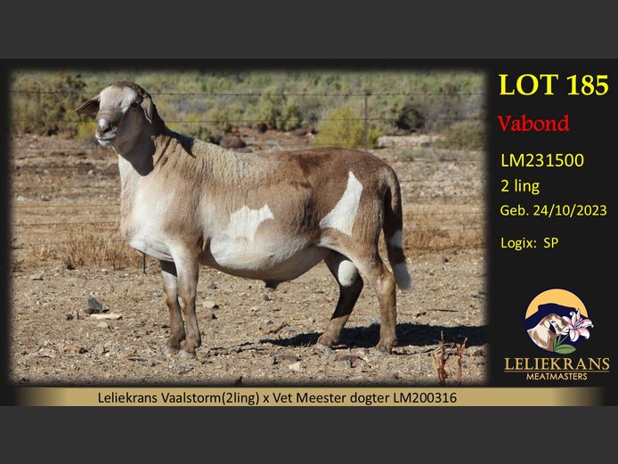 LM231500 | LELIEKRANS MEATMASTERS