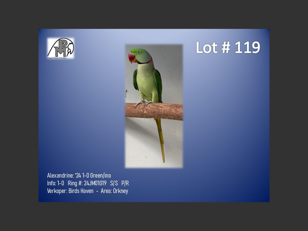 images