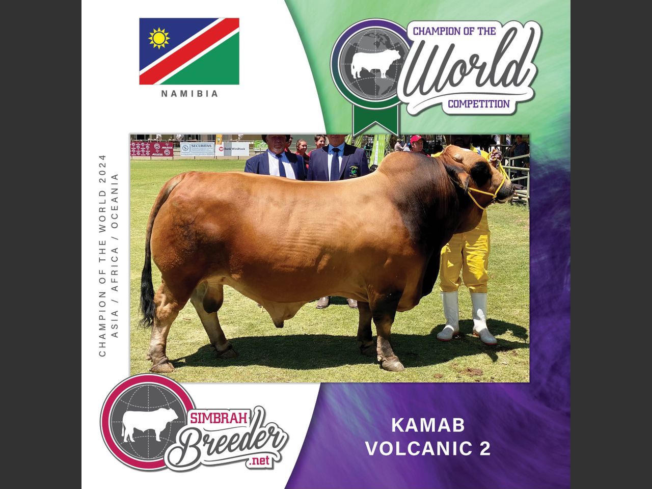 Lot 44 | CENTRAL SELECT BULL AUCTION - NAMIBIA'S BEST SELECTED BULLS ...