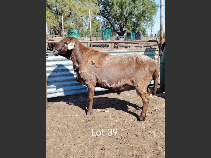 JAC 24-10 | Jacob's Share Meatmasters