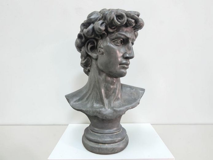Classical Style "David" Bust Sculpture