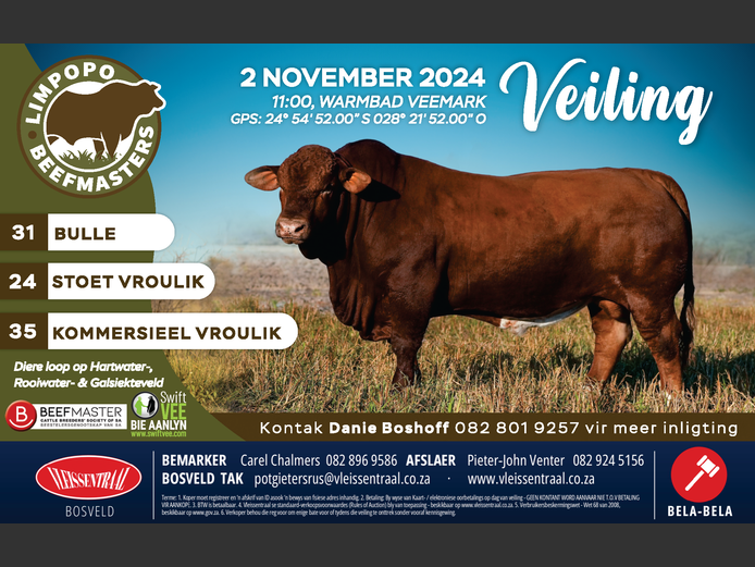 LIMPOPO BEEFMASTERS KLUB VEILING 