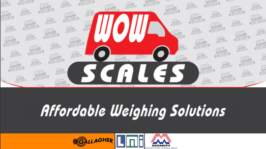 WOW Scales