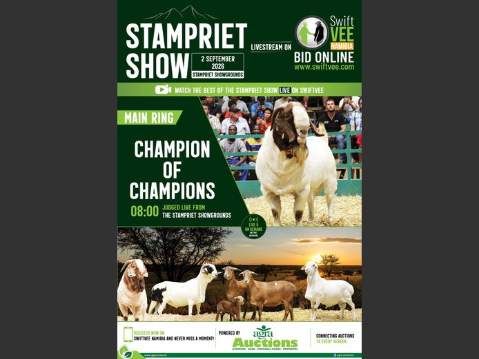CHAMPION OF CHAMPIONS STAMPRIET SHOW MAIN RING