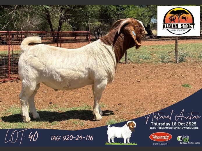 920 240116 | Albie en Louwan Horn