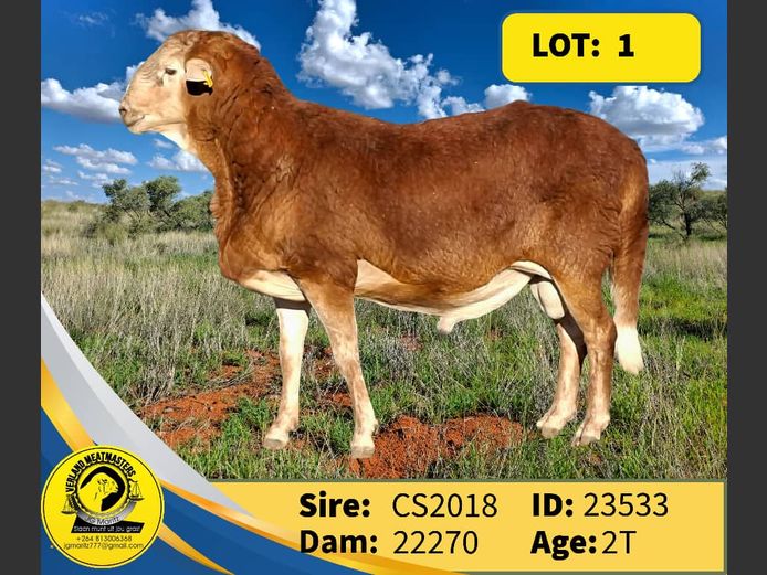 25533 | Verland Meatmasters