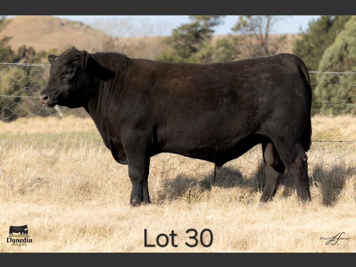 KCM 230078 | TABLE HILL FARMING PTY LTD