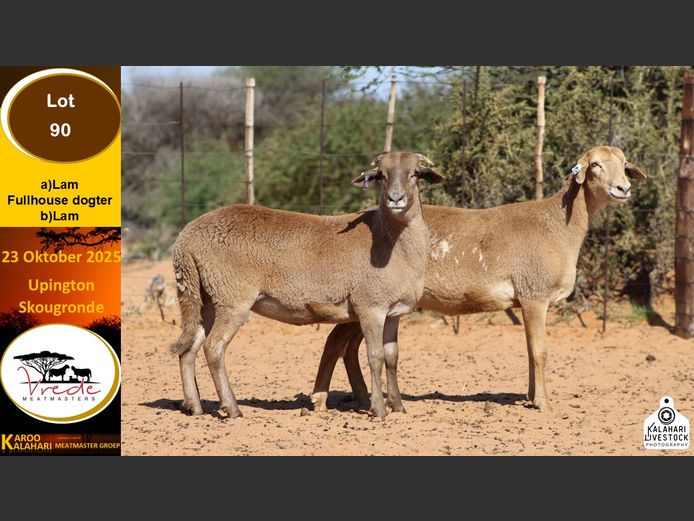 PS 90B | Peter & Christia Scholtz - Vrede Meatmasters