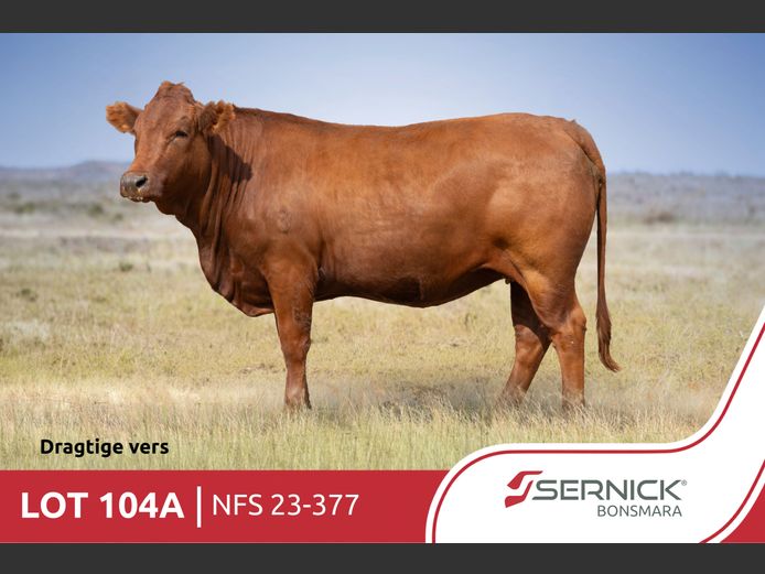 NFS 230377 | SERNICK BONSMARA STOET