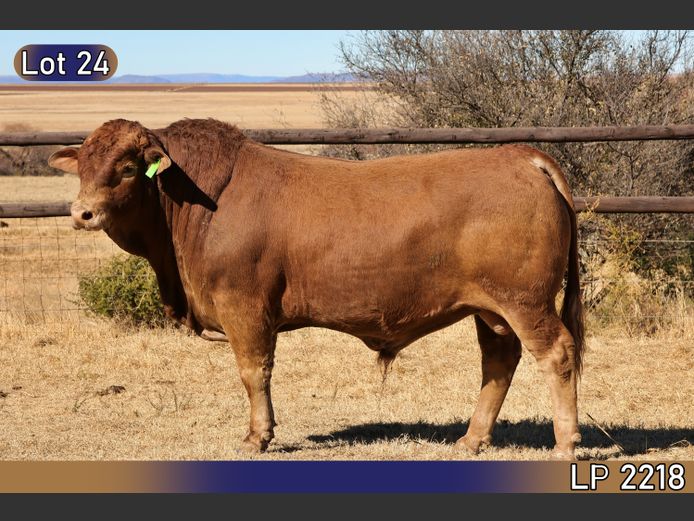 LP2218 | MARATANA BOERDERY 