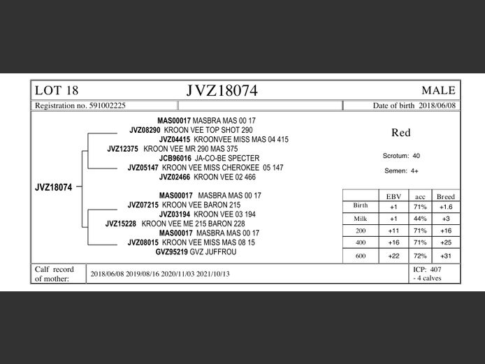 JVZ18-74