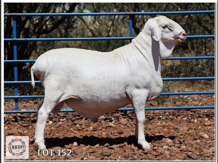 34 24 0385 | LOUIS VAN RENSBURG, H/A LEEUPUT TRUST