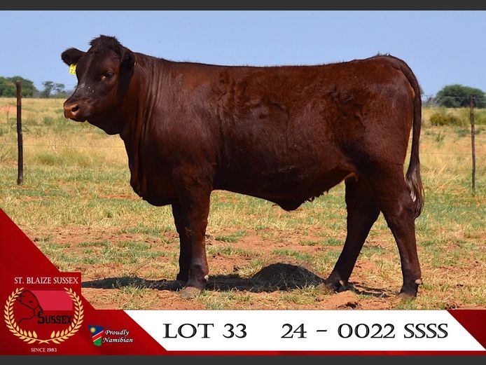 24-0022SSS | ST. BLAIZE SUSSEX