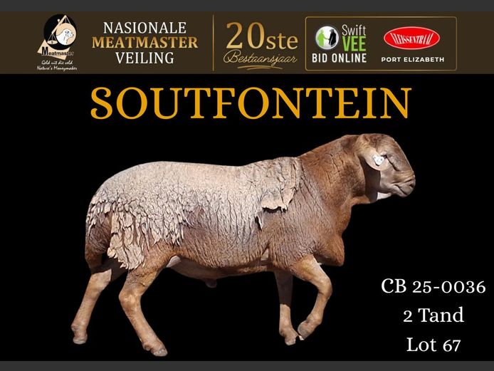 CB 25 36 | Soutfontein Meatmasters