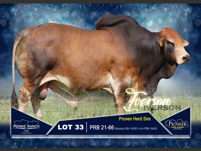 PRB 210066 | PEINKE RANCH