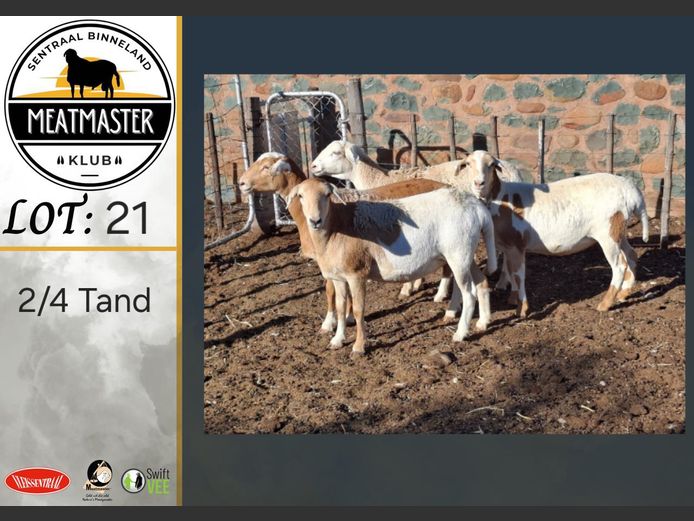 Ooie | H Koekemoer Meatmasters