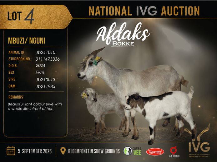 JB24 1010 | AFDAKS BOKKE