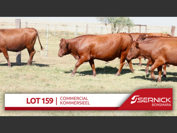 Commercial Animals