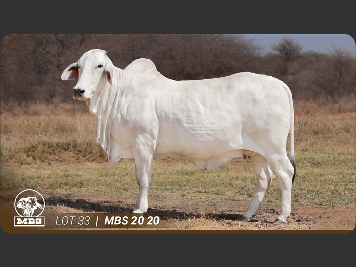 MBS2020 | MBS BRAHMANE