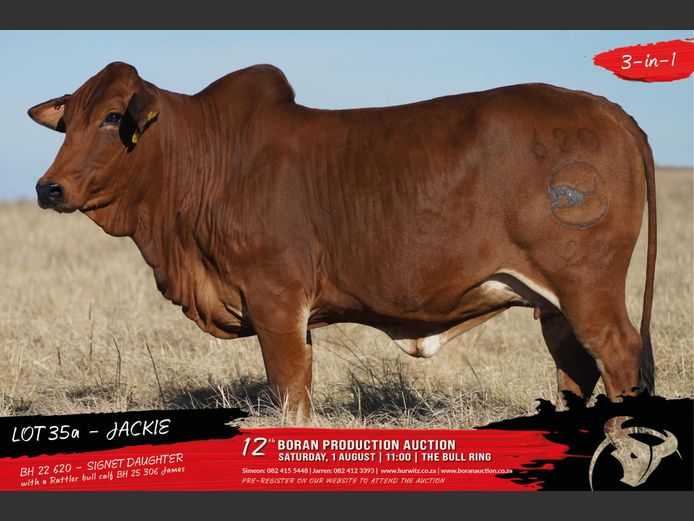 BH 220620 | HURWITZ FARMING