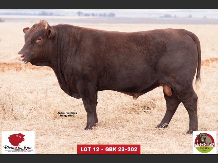 GBK 230202 | G.B. KEYSER