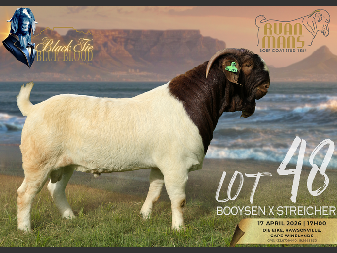 1584 24-178 | Ruan Mans Boerbokstoet